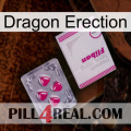 Dragon Erection 32